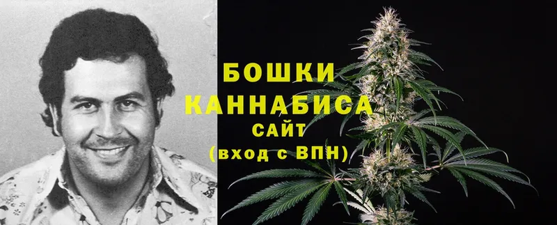 Бошки Шишки White Widow  Стерлитамак 